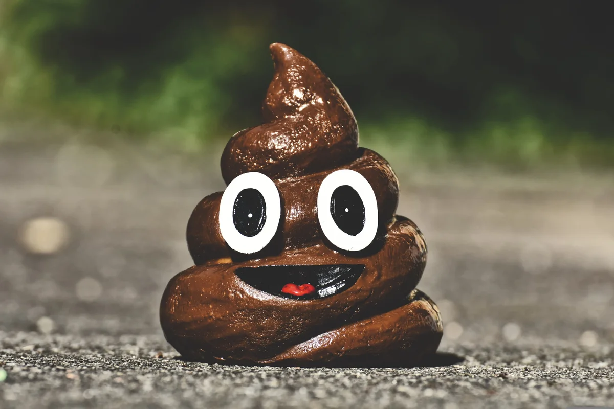 How Much Should I Charge for My Poop Scooping Business?